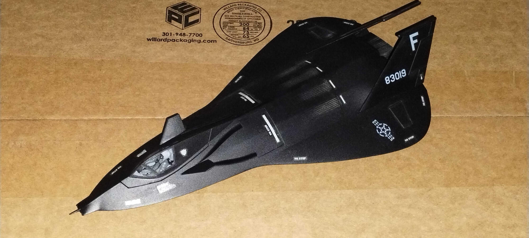 1/48 Testors F-19